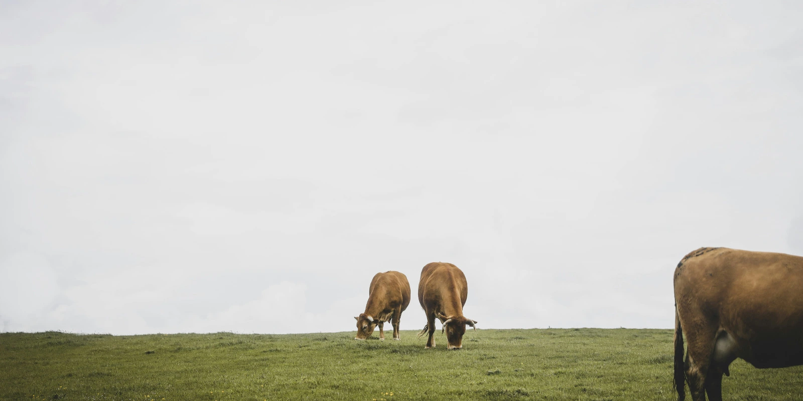 Électromagnétisme : Théorie et Applications en Licence PC Électromagnétisme : Théorie et Applications en Licence PC